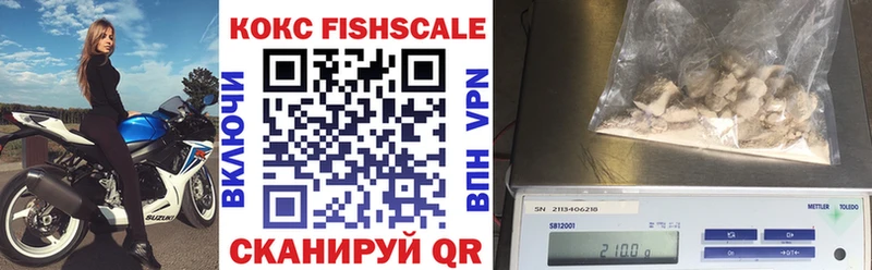Кокаин Fish Scale  darknet формула  Тбилисская 