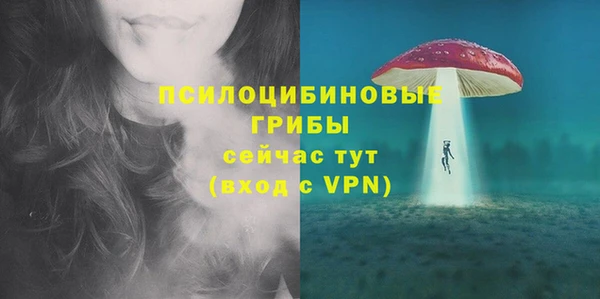mdpv Медвежьегорск