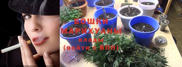 крисы Аркадак
