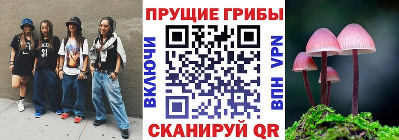 Псилоцибиновые грибы MAGIC MUSHROOMS Тбилисская